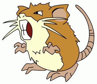 raticate