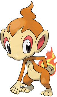 chimchar