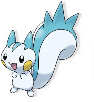 pachirisu